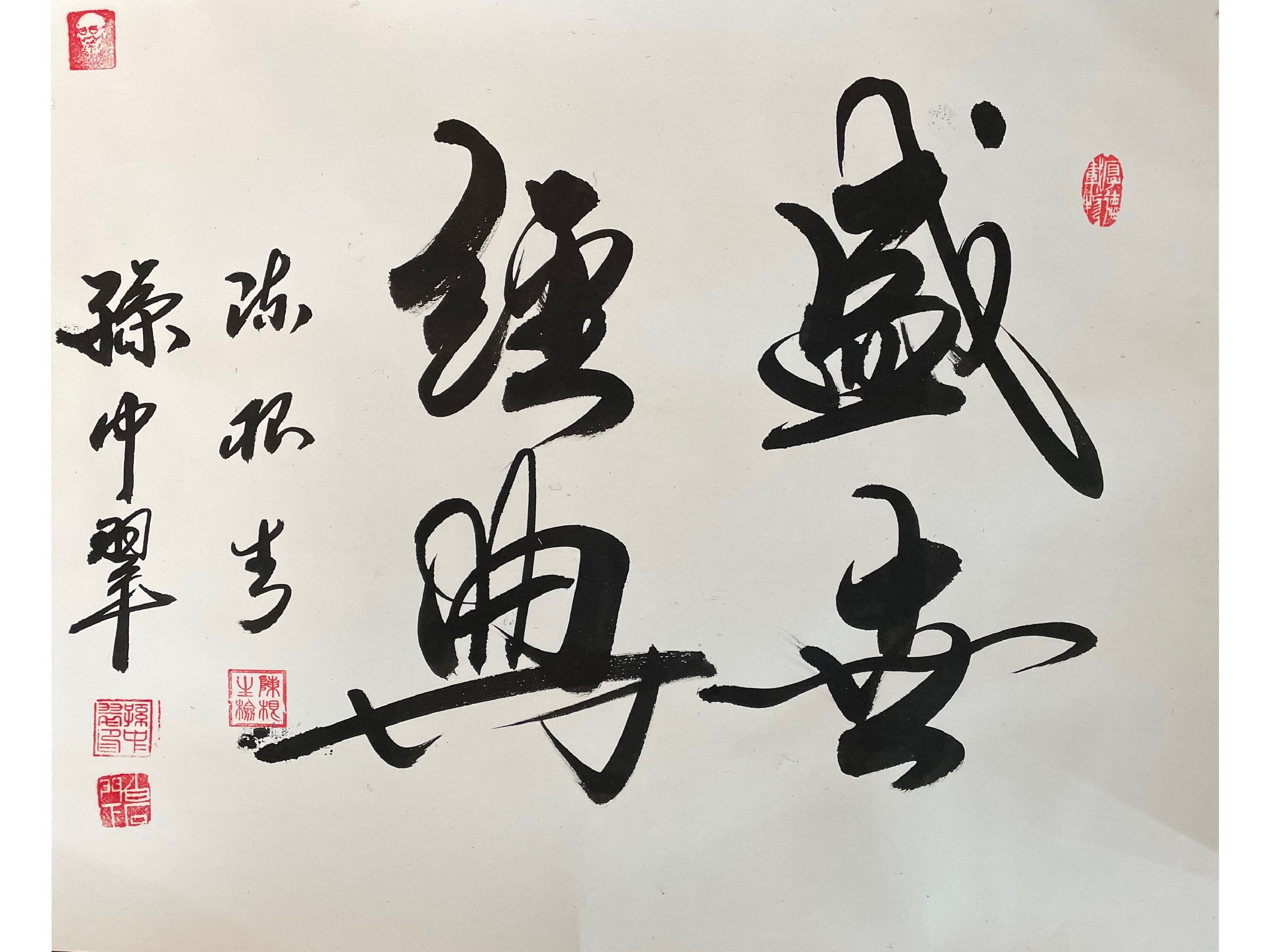 21233 孔雀(1).jpg