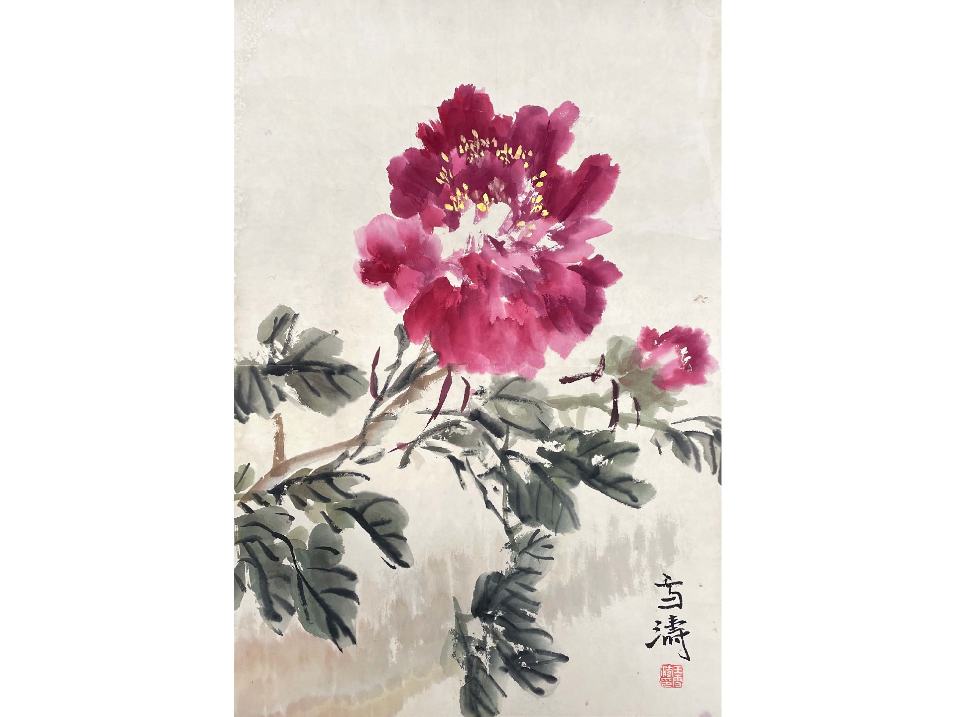 牡丹.jpg