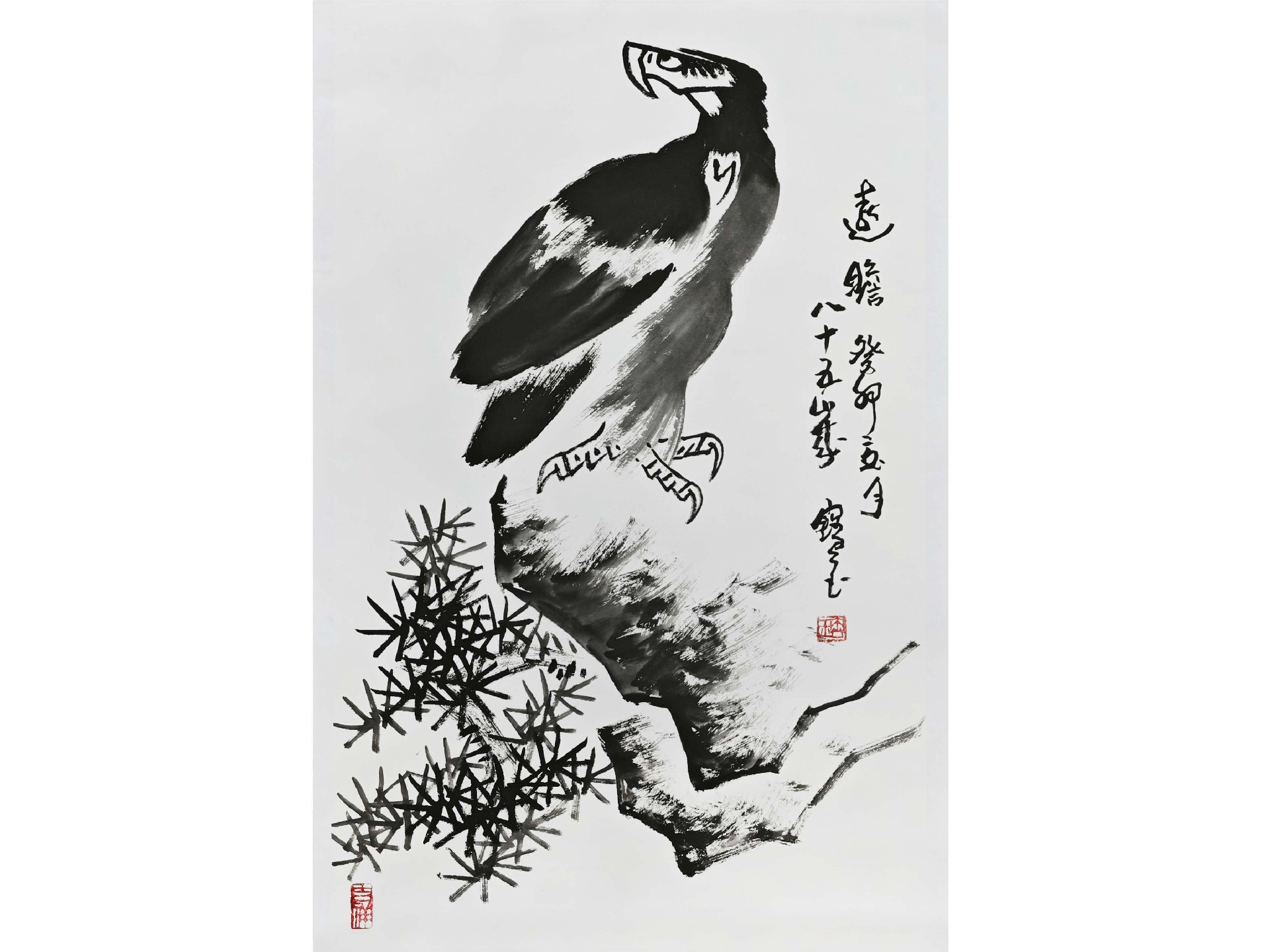 远瞻.jpg